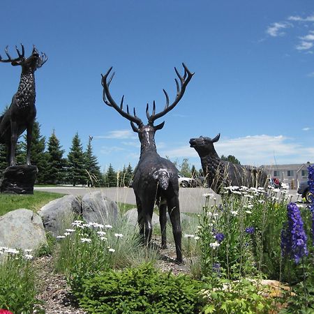 Le Ritz Hotel&Suites Idaho Falls Exterior foto